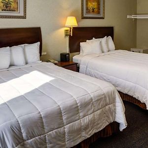 Chambre Accessible aux Personnes à Mobilité Réduite Lit King-Size