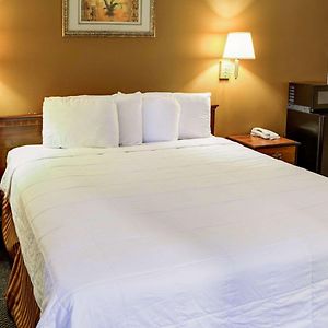 Chambre Accessible aux Personnes à Mobilité Réduite Lit King-Size